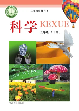 冀人版科学五年级下册 封面