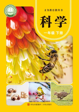 青岛版（根据2022年版课程标准修订）科学一年级下册 封面
