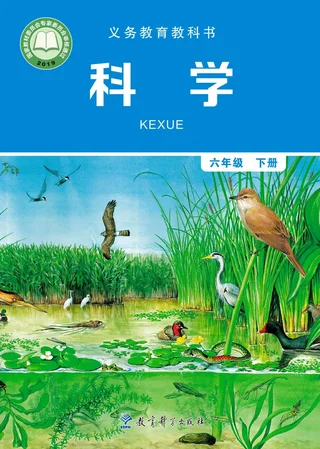 科学六年级下册 封面