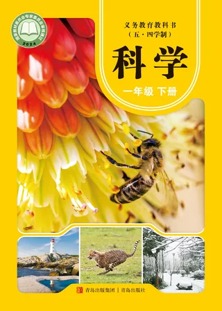 青岛版（根据2022年版课程标准修订）（五•四学制）·科学·一年级下册 封面