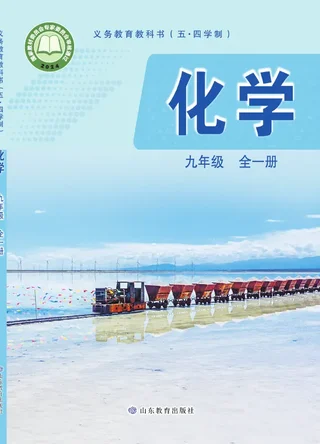 鲁教版（根据2022年版课程标准修订）（五•四学制）•化学九年级全一册 封面
