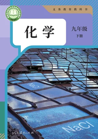 人教版(根据2022年版课程标准修订)化学九年级下册 封面