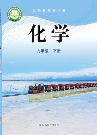 鲁教版（根据2022年版课程标准修订）化学九年级下册 封面
