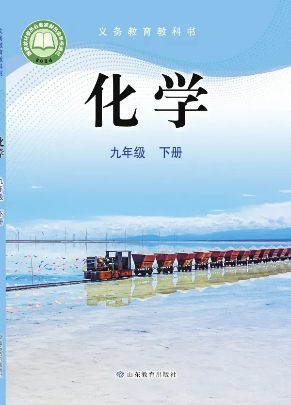 鲁教版(根据2022年版课程标准修订)化学九年级下册 封面