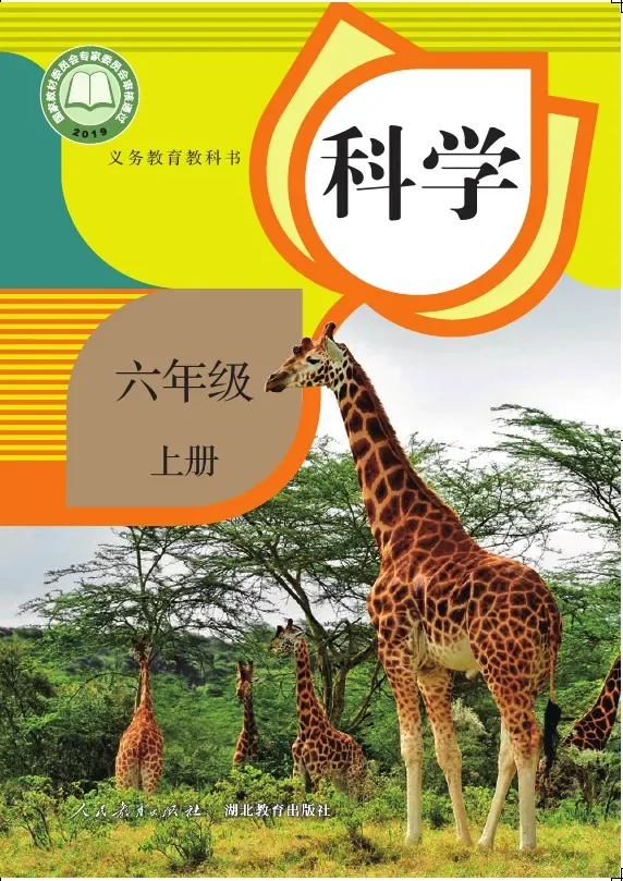 科学六年级上册 封面