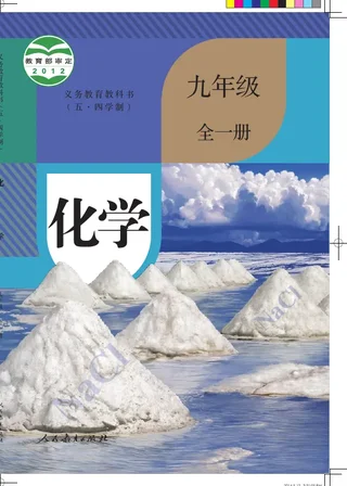 （五•四学制）·化学九年级全一册 封面