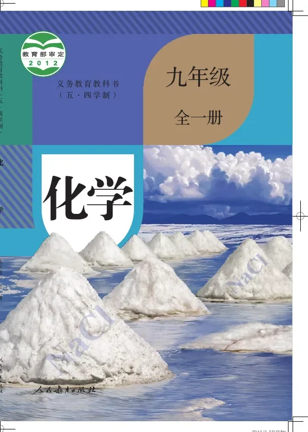 (五•四学制)·化学九年级全一册 封面