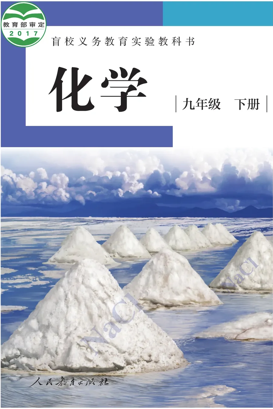 盲校义务教育实验教科书 化学 九年级 下册（供低视力学生使用） 封面