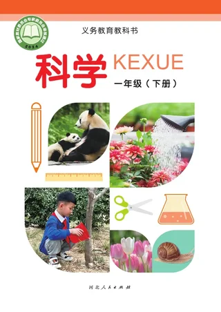 冀人版（根据2022年版课程标准修订）科学一年级下册 封面
