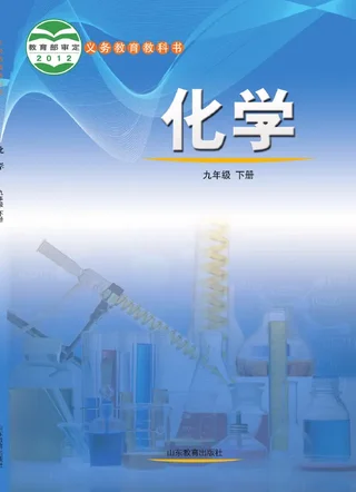 化学九年级下册 封面