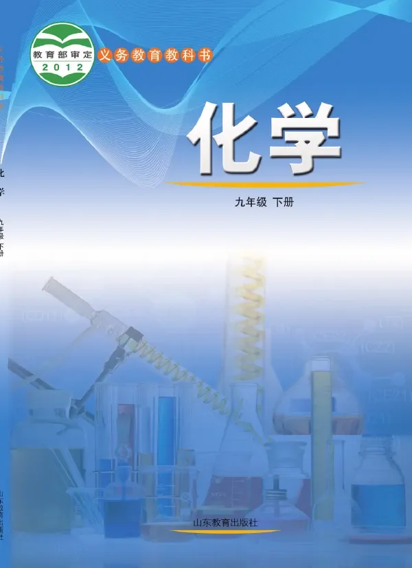 化学九年级下册 封面