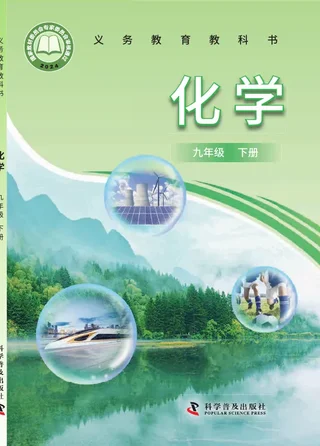 科普版（根据2022年版课程标准修订）化学九年级下册 封面